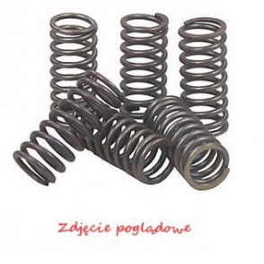 EBC EBCCSK099 SPRĘŻYNY SPRZĘGŁOWE MOTO. KAWASAKI ZX6 RR (ZX 600 K1) (03)