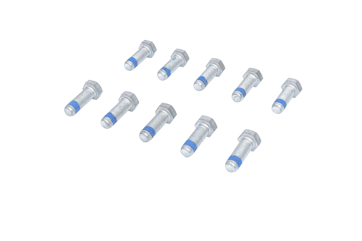 ATE 13.81900330.1 Féknyereg csavar