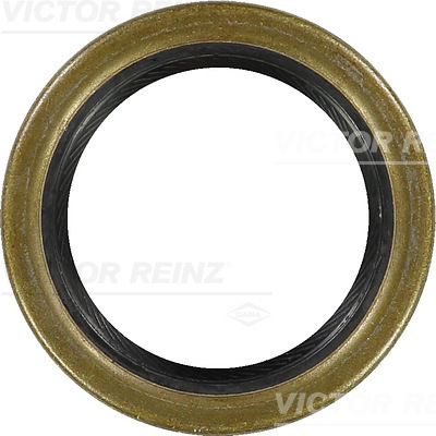 VICTOR REINZ RNZ81-21087-10 tömítőgyűrű, főtengely