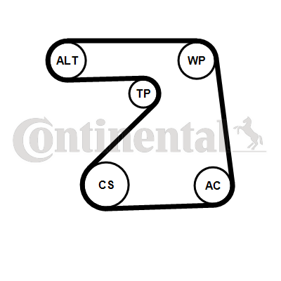 CONTITECH 5PK1334K1CT 5PK1334K1CT SET CUREA TRANSMISIE CU CANELURI CONTI