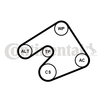 CONTITECH 5PK1397K1CT 5PK1397K1CT SET CUREA TRANSMISIE CU CANELURI CONTI