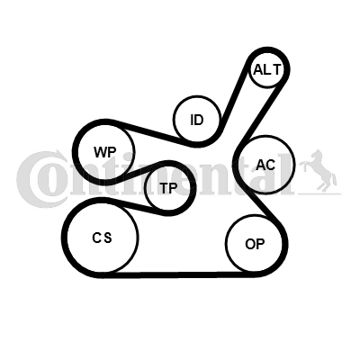 CONTITECH 483628 6DPK1817K2 SET KAN R.BMW 6DPK1817K2 520D E60/61,X3 E83 2.0D 07->11 KIT 6DK1817