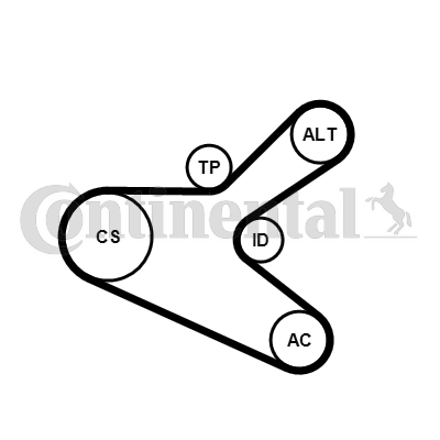 CONTITECH 513248 6PK1153K2 SET KAN R.CITROEN 6PK1153K2 C4,P-307 2.0HDI 00-> KIT 6K1153