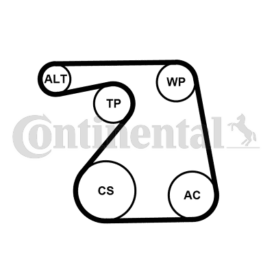 CONTITECH 6PK1360K1CT 6PK1360K1CT HOSSZBORDÁS SZÍJ KÉSZLET - CONTITECH