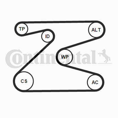 CONTITECH 6PK1715K2CT 6PK1715K2CT SET CUREA TRANSMISIE CU CANELURI CONTI