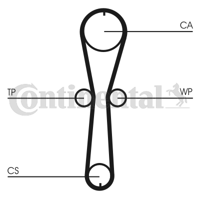 CONTITECH CT915WP2 Vezérlés készlet, fogasszíj szett (szíj+görgők+víz