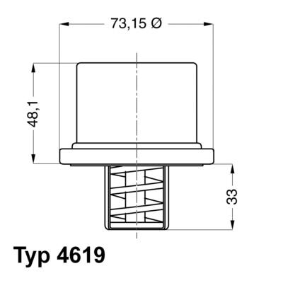 WAHLER 4619.82 Termosztát, hutofolyadék