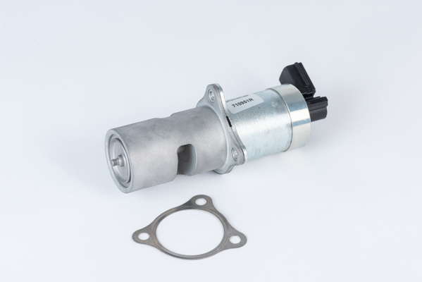 WAHLER WAH710951R AGR-szelep