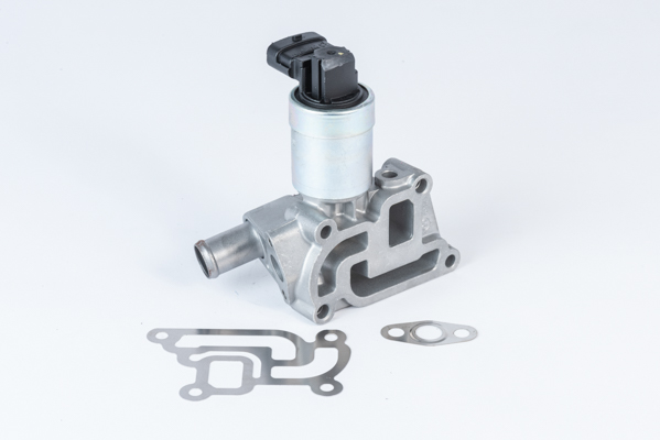 WAHLER 1004033814 710957R - AGR-szelep