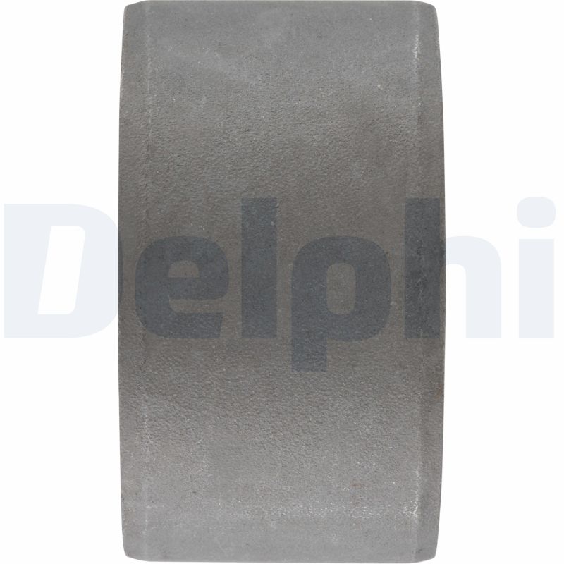 DELPHI DELTD344W Lengőkar szilentek