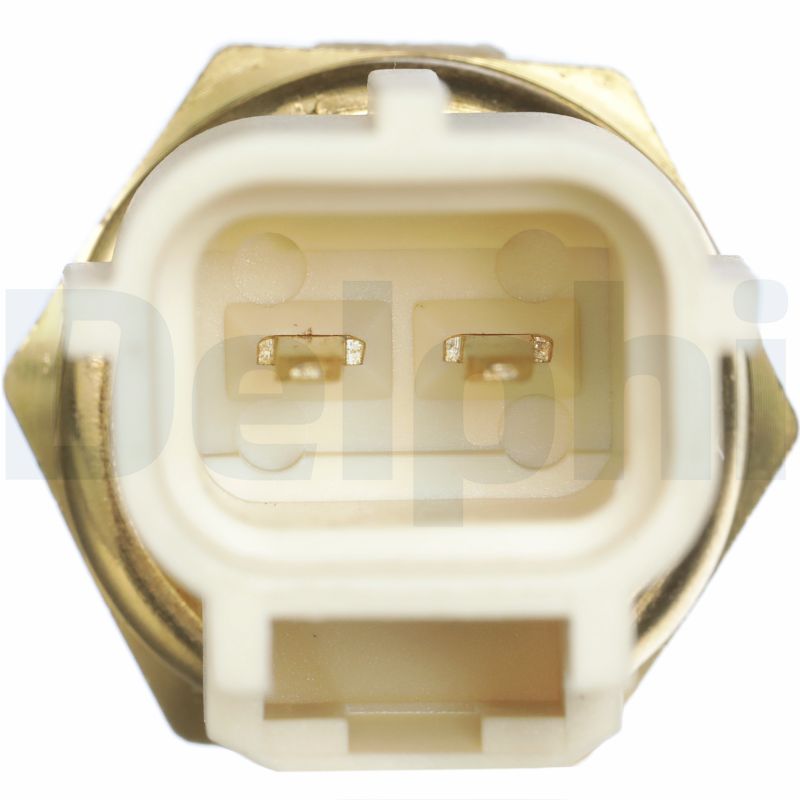 DELPHI 1004028928 TS10289 - Hűtőfolyadék hőmérséklet érzékelő