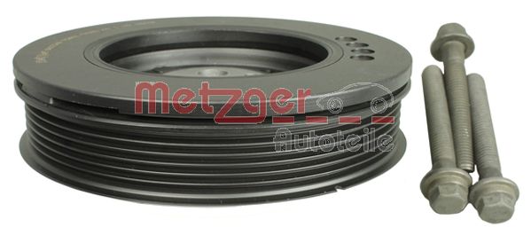 METZGER 6400043 6400043 FULIE CUREA ARBORE COTIT METZGER CSNBB