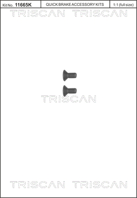TRISCAN 8105116006 csavar, féktárcsa