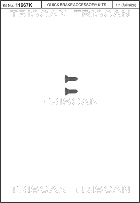 TRISCAN 8105116008T 8105116008T SURUB DISC FRANA TRISCAN CSNBB