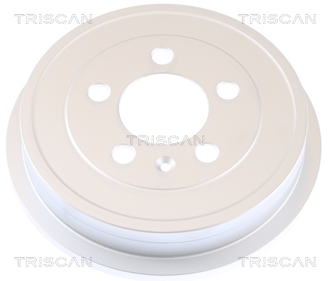 TRISCAN 812029222CT 812029222CT TAMBUR FRANA TRISCAN CSNBB