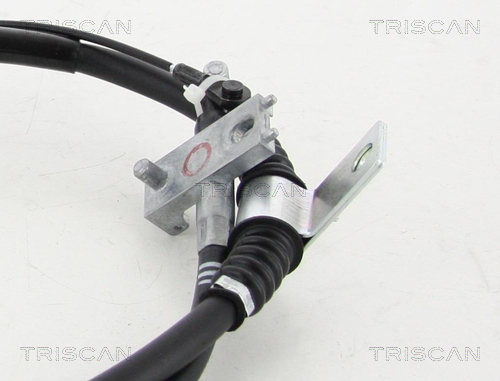 TRISCAN 814044119 HUZAL, RÖGZÍTŐFÉK
