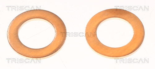 TRISCAN 815014115 Fékcső, gumifékcső