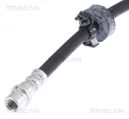 TRISCAN 815029153T 815029153T FURTUN FRANA TRISCAN CSNBB