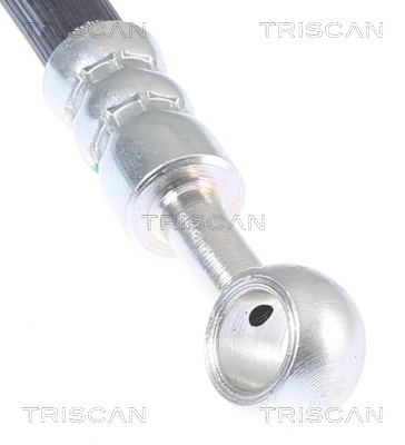 TRISCAN 815043108T 815043108T FURTUN FRANA TRISCAN CSNBB