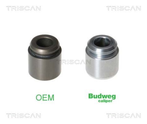 TRISCAN 8170232803T 8170232803T PISTON ETRIER FRANA TRISCAN CSNBB