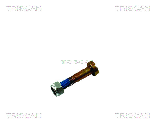 TRISCAN 850016861T Lengőkar szilentek, csavar készletek