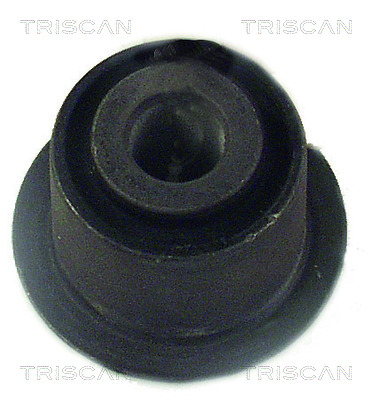 TRISCAN 850028804T Lengőkar szilent