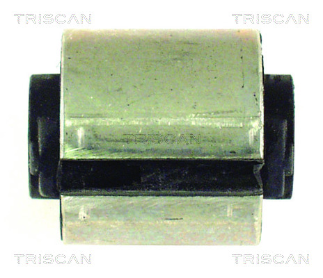 TRISCAN 850029825T Lengőkar szilent