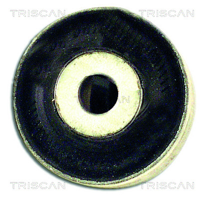 TRISCAN 850029845T Lengőkar szilent