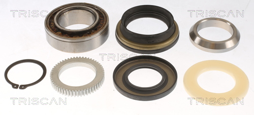 TRISCAN 853014263T 853014263T SET RULMENT ROATA TRISCAN CSNBB