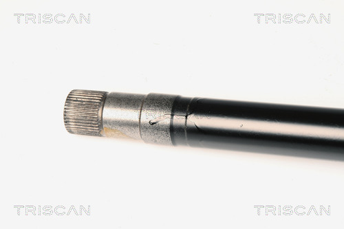 TRISCAN 854010519T 854010519T HAJTÓTENGELY