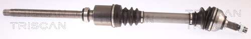 TRISCAN 854038568T 854038568T PLANETARA TRISCAN CSNBB