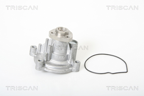 TRISCAN 860029035T 860029035T VÍZSZIVATTYÚ