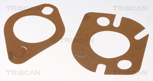 TRISCAN 86201082T 86201082T TERMOSTAT LICHID RACIRE TRISCAN CSNBB