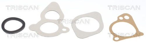 TRISCAN 86201282T 86201282T TERMOSTAT LICHID RACIRE TRISCAN CSNBB