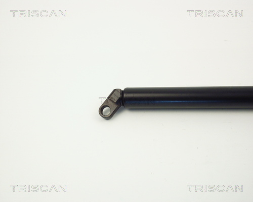 TRISCAN 871011209T Gázrugó, csomagtérteleszkóp, ajtóteleszkóp