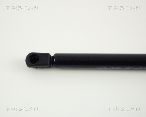 TRISCAN 871024203T Gázrugó, csomagtérteleszkóp, ajtóteleszkóp