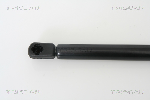 TRISCAN 871024228T Gázrugó, csomagtérteleszkóp, ajtóteleszkóp
