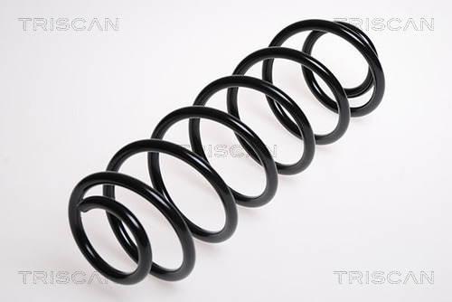 TRISCAN 875016009T 875016009T ARC SPIRAL TRISCAN CSNBB