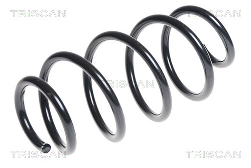 TRISCAN 875029309T 875029309T ARC SPIRAL TRISCAN CSNBB