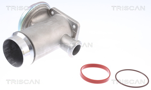 TRISCAN 881311005T 881311005T SUPAPA EGR TRISCAN CSNBB