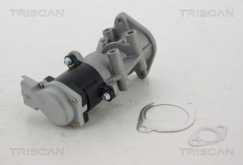 TRISCAN 881317008 AGR szelep, EGR szelep