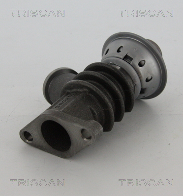 TRISCAN 881328100T 881328100T SUPAPA EGR TRISCAN CSNBB