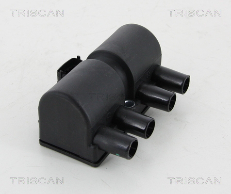 TRISCAN 886024031T 886024031T BOBINA DE INDUCTIE TRISCAN CSNBB
