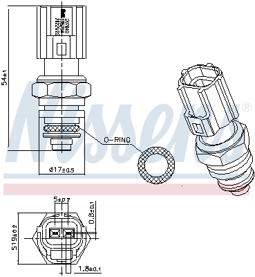 NISSENS 439347 207048 - Vízgomba, hűtővíz hőmérséklet jeladó, érzékelő