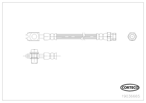 CORTECO COR19036665 fékcső