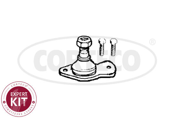 CORTECO COR49400382 Talpas gömbfej, lengőkar gömbfej 