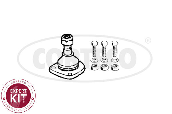 CORTECO COR49400507 Talpas gömbfej, lengőkar gömbfej 