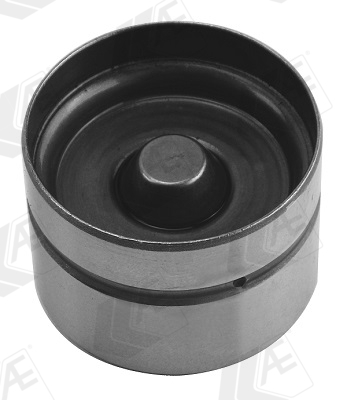 AE 1004025031 FOL106 - szelepemelő