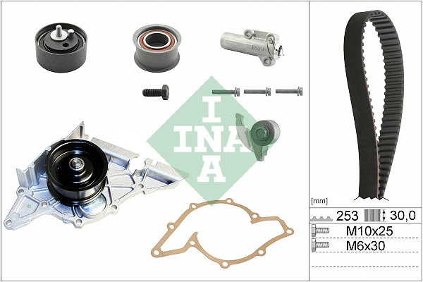 INA 530017933 Vízpumpa + fogasszíj készlet