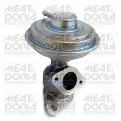 MEAT DORIA 88313MD 88313MD EGR VALVE MEAT&DORIA